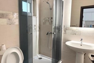 Vila premium D+P+2, 380 mp, ideala pentru birouri sau clinica – zona Parcul Circ - 13