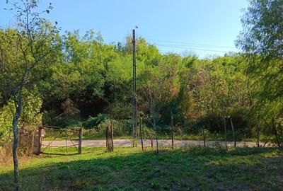 Spațiu comercial, în Traian - 4