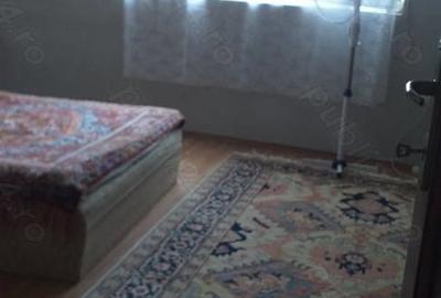 Casă cu 2 camere cu Teren 1939 Mp în Ghioroc - 3