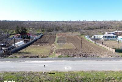 Teren de 5313 mp, în Vânători - 6