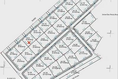 Teren de 804 mp, în Peciu Nou - 1