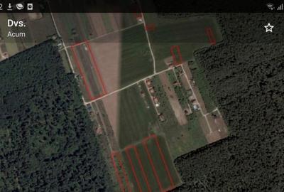 Teren Construcții intravilan de 736 mp, în Snagov - 5