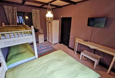 Casa de vacanta deosebita Breaza- Nistoresti - 1