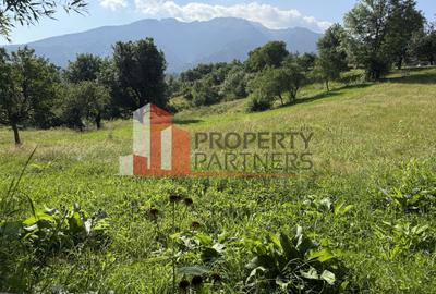 Teren Sohodol 5000 mp - 6