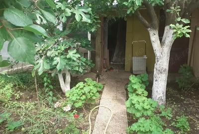 Casă cu 6 camere în Chercea - 9