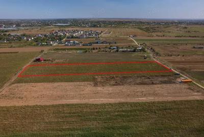 Adunatii Copaceni - Troitei | teren 6 525 mp | zona in dezvoltare - 3