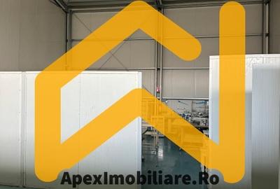 Spațiu comercial, de 550 mp, în Malu Roșu - 16