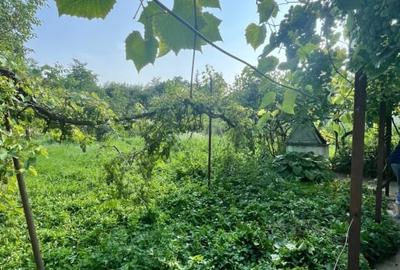 Casa individuala, 800 mp teren, Siret - 15