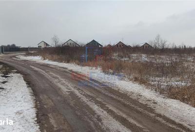 Teren de 6383 mp, în Bârnova - 5