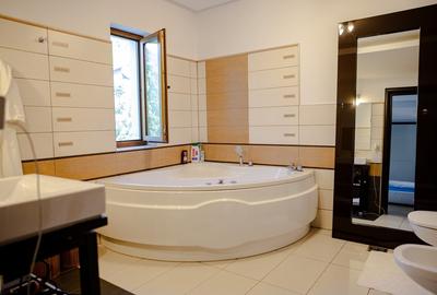 VILA DE LUX, zona Cartier Sasar , 450mp cu 10 ari teren! - 15