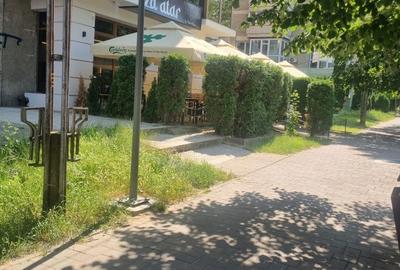 Apartament cu 2 camere decomandat în Exterior Vest - 5