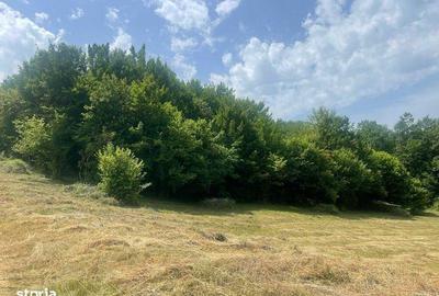 Teren de 7197 mp, în Central - 6