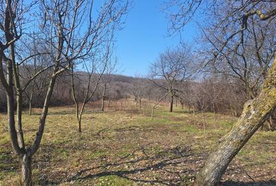 Spațiu comercial, în Sâmbotin - 6