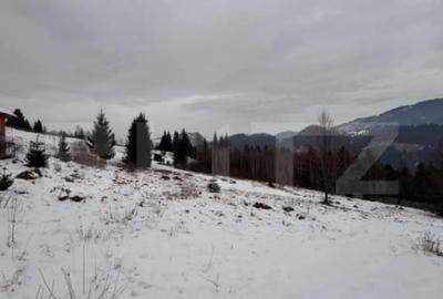 Teren în Central - 5