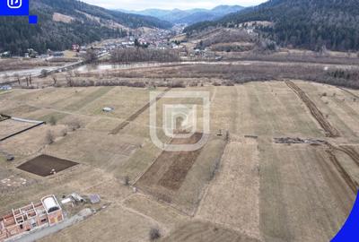 Teren Construcții extravilan de 2911 mp, în Voroneț - 6