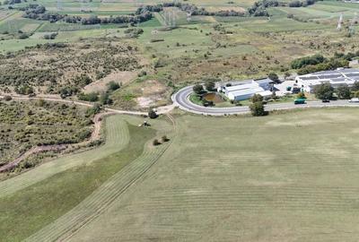 Teren Construcții intravilan de 630 mp, în Broscărie - 4