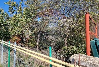 DE VANZARE Teren intravilan | 300mp | Damaroaia / Bucurestii Noi - 6