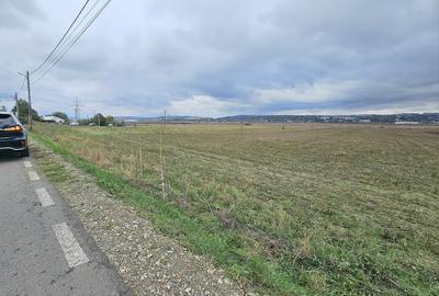 Teren 17500 mp, zona Gaureni,str. Eroilor Teren 17500 mp, zona Gaureni,str. Eroilor - 1