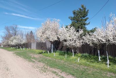 Casă cu 4 camere în Valea Stânii - 5