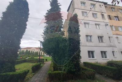 Apartament cu 2 camere de vanzare - Comanesti - 5