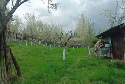 Casă cu 2 camere în Groșani - 5