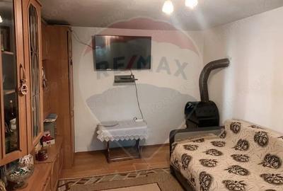 Casă cu Teren 1043 Mp în Dochia - 3