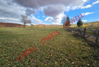 Teren de vânzare în Vama Buzăului, sat Buzaiel! - 4