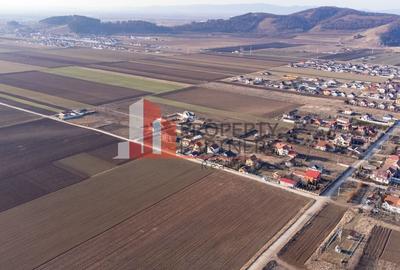 Casa cu teren 1500 mp in Harman - 9