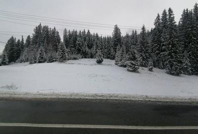 Teren de 10238 mp, în Central - 10