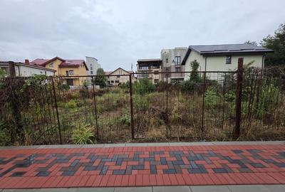 Nicolae Grigorescu, chiar la pasajul peste Splaiul Unirii, in planul 2 - 8