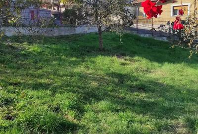 Casa la chirie pe termen lung