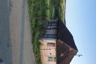 Teren de 3300 mp, în Firminiș - 7