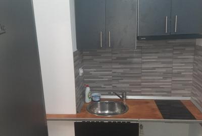 Apartament 2 camere la casa central - 2