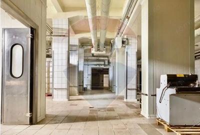 Spațiu comercial, de 6,229 mp, în Central - 7