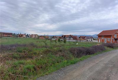 RECO Teren 4935mp in Beius - 3