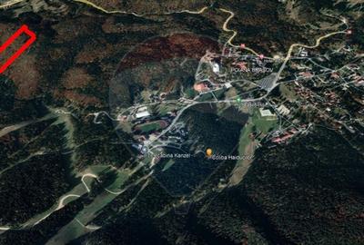 Teren intravilan, 56000 mp, Poiana Brasov - 5