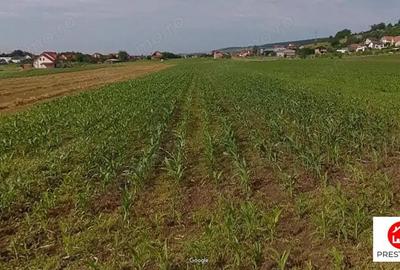 Teren de vanzare in Santana de Mures - 2