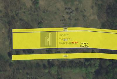 Teren de vânzare – 9.845 mp în mijlocul naturii, Aluniș, Prahova - 3
