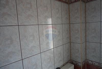 Casă individuală cu 5 camere cu Canalizare în Moisei - 33