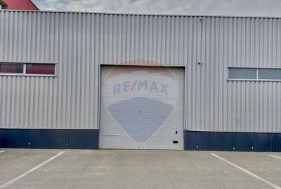 Spațiu comercial, de 450 mp, în Micălaca - 9