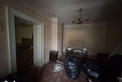 Casă cu 4 camere cu Teren 3767 Mp în Borș - 10