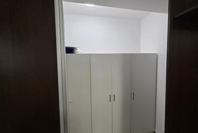 Ion Mihalache-Domenii - 11