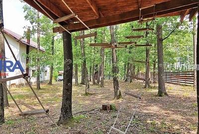 Casă de vacanță în pădure, 10 km de Pitești - Babana - 11