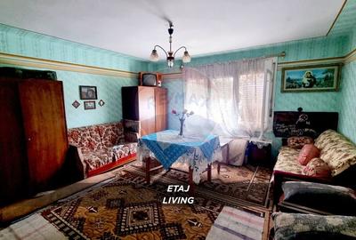 Casă cu 3 camere cu Teren 2460 Mp în Borlești - 10