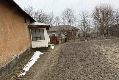 Casă cu 4 camere cu Teren 1450 Mp în Ștorobăneasa - 3