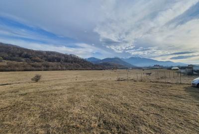 Teren Construcții extravilan de 7400 mp, în Glăjărie