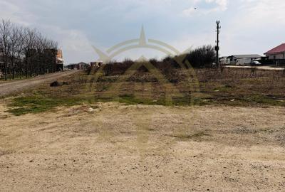 Teren Construcții intravilan de 2500 mp, în Corbeanca - 3