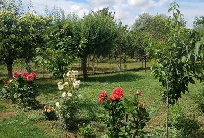 Vand, schimb casa in Ineu, jude?ul Arad - 7