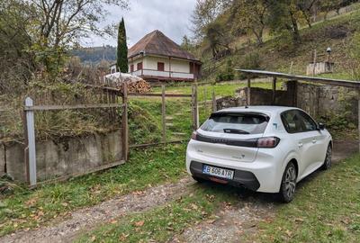 Spațiu comercial, în Roșeni - 5