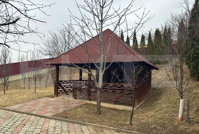 Casa 7 camere, 430 mp utili, Burdujeni - 18